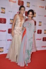 Monica Dogra at Stardust Awards 2013 red carpet in Mumbai on 26th jan 2013 (552).JPG